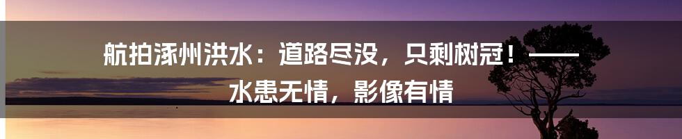 航拍涿州洪水：道路尽没，只剩树冠！—— 水患无情，影像有情