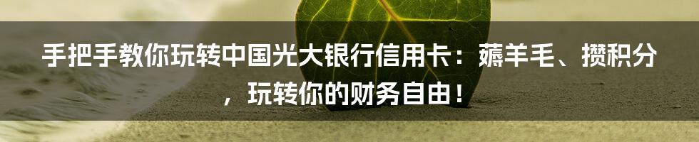 手把手教你玩转中国光大银行信用卡:薅羊毛、攒积分,玩转你的财务自由!