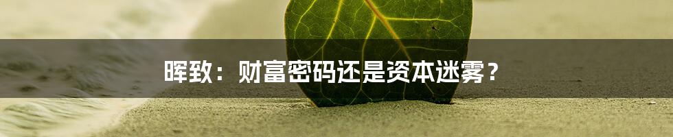 晖致：财富密码还是资本迷雾？