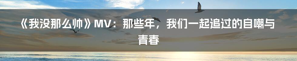 《我没那么帅》MV：那些年，我们一起追过的自嘲与青春