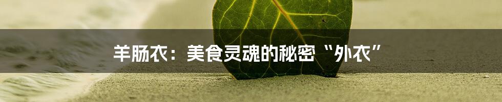 羊肠衣：美食灵魂的秘密“外衣”
