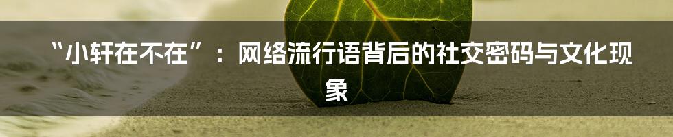 “小轩在不在”：网络流行语背后的社交密码与文化现象