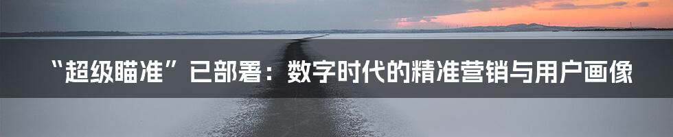 “超级瞄准”已部署：数字时代的精准营销与用户画像