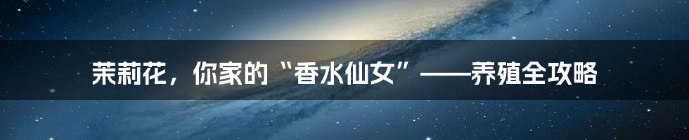 茉莉花,你家的“香水仙女”——养殖全攻略