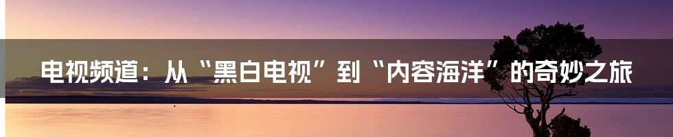 电视频道:从“黑白电视”到“内容海洋”的奇妙之旅
