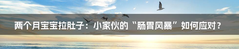 两个月宝宝拉肚子:小家伙的“肠胃风暴”如何应对?