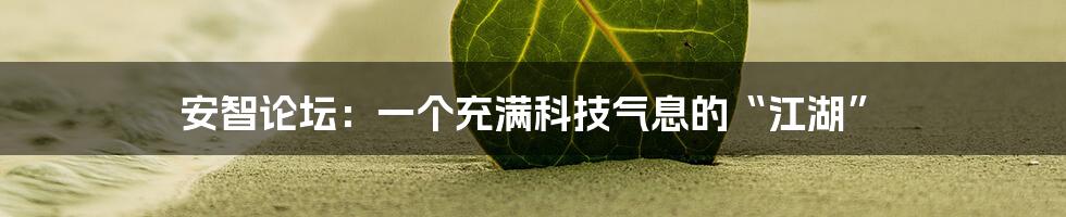 安智论坛:一个充满科技气息的“江湖”