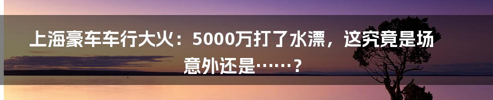 上海豪车车行大火:5000万打了水漂,这究竟是场意外还是……?