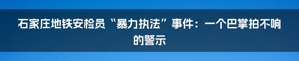 石家庄地铁安检员“暴力执法”事件：一个巴掌拍不响的警示