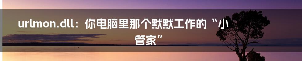 urlmon.dll:你电脑里那个默默工作的“小管家”