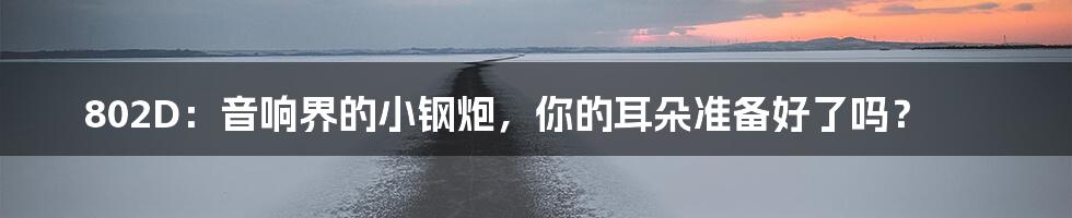 802D:音响界的小钢炮,你的耳朵准备好了吗?