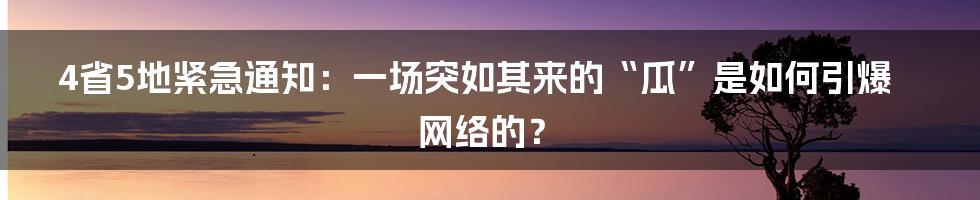 4省5地紧急通知:一场突如其来的“瓜”是如何引爆网络的?