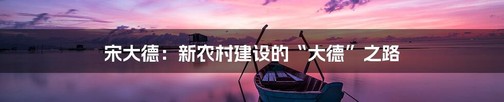 宋大德：新农村建设的“大德”之路