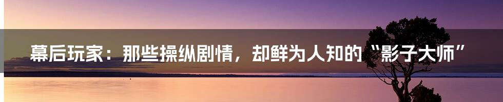 幕后玩家：那些操纵剧情，却鲜为人知的“影子大师”