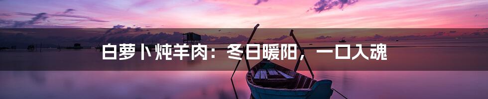 白萝卜炖羊肉：冬日暖阳，一口入魂
