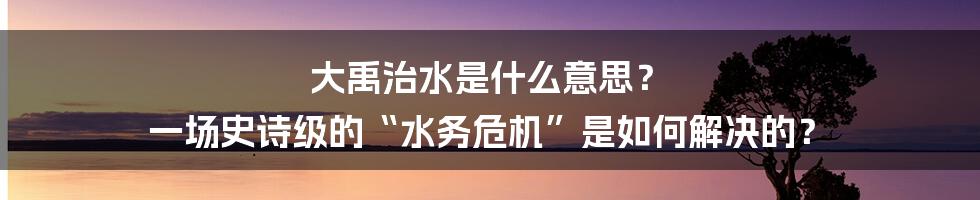 大禹治水是什么意思？ 一场史诗级的“水务危机”是如何解决的？