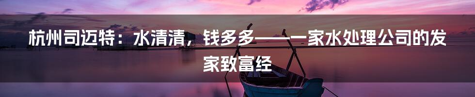 杭州司迈特：水清清，钱多多——一家水处理公司的发家致富经
