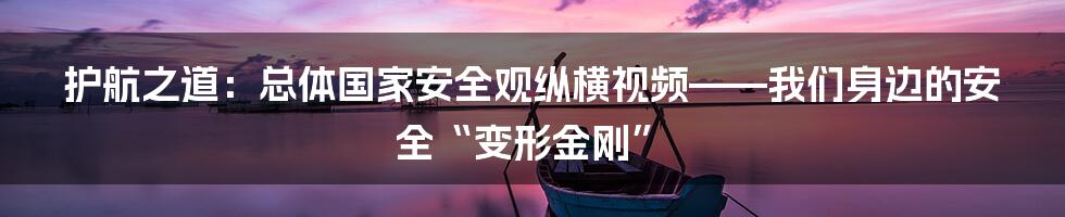 护航之道:总体国家安全观纵横视频——我们身边的安全“变形金刚”