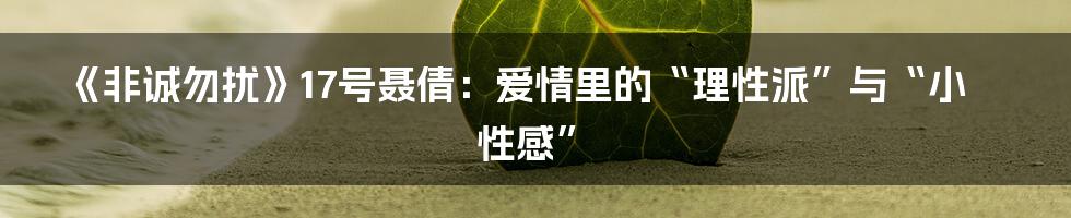 《非诚勿扰》17号聂倩：爱情里的“理性派”与“小性感”