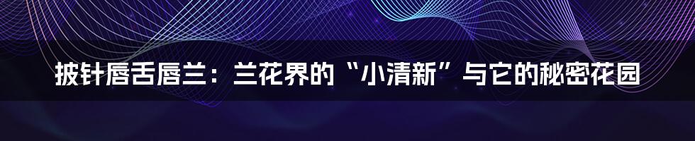 披针唇舌唇兰：兰花界的“小清新”与它的秘密花园