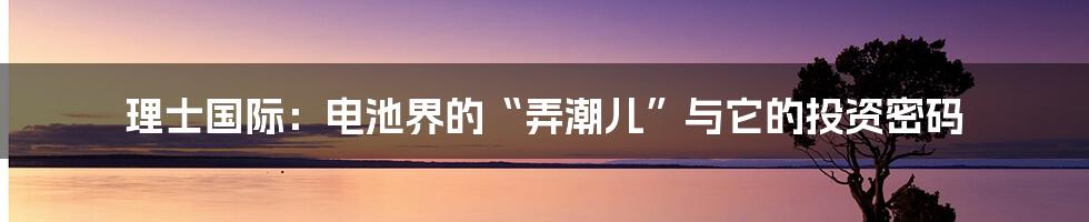 理士国际:电池界的“弄潮儿”与它的投资密码