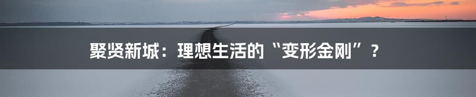 聚贤新城：理想生活的“变形金刚”？