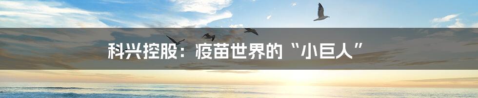 科兴控股：疫苗世界的“小巨人”