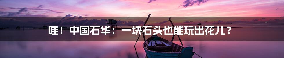 哇！中国石华：一块石头也能玩出花儿？