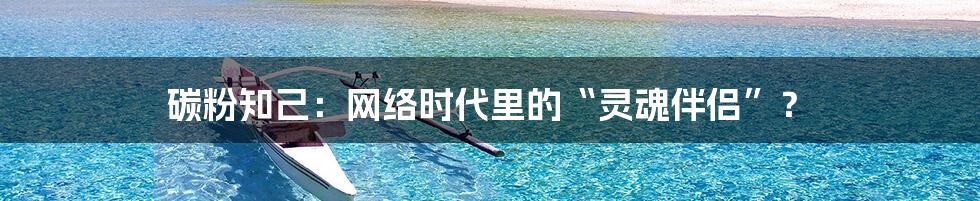碳粉知己:网络时代里的“灵魂伴侣”?