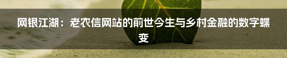 网银江湖：老农信网站的前世今生与乡村金融的数字蝶变