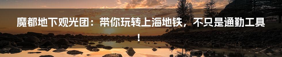 魔都地下观光团:带你玩转上海地铁,不只是通勤工具!