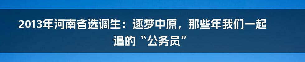 2013年河南省选调生:逐梦中原,那些年我们一起追的“公务员”