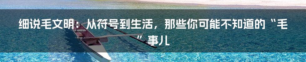 细说毛文明：从符号到生活，那些你可能不知道的“毛”事儿
