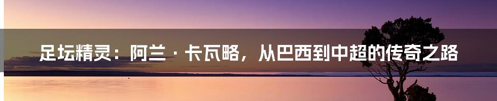 足坛精灵：阿兰·卡瓦略，从巴西到中超的传奇之路