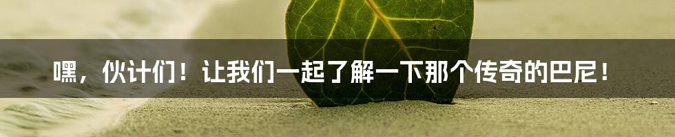 嘿，伙计们！让我们一起了解一下那个传奇的巴尼！