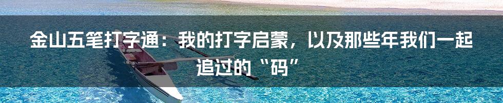 金山五笔打字通:我的打字启蒙,以及那些年我们一起追过的“码”