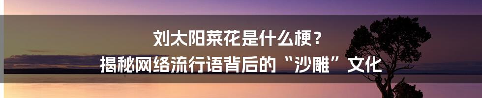 刘太阳菜花是什么梗？ 揭秘网络流行语背后的“沙雕”文化