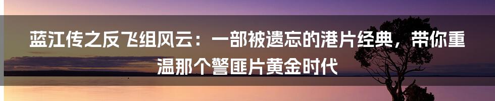 蓝江传之反飞组风云：一部被遗忘的港片经典，带你重温那个警匪片黄金时代