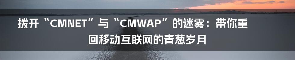 拨开“CMNET”与“CMWAP”的迷雾:带你重回移动互联网的青葱岁月
