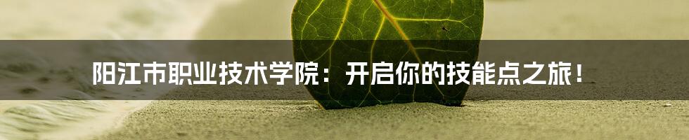 阳江市职业技术学院:开启你的技能点之旅!
