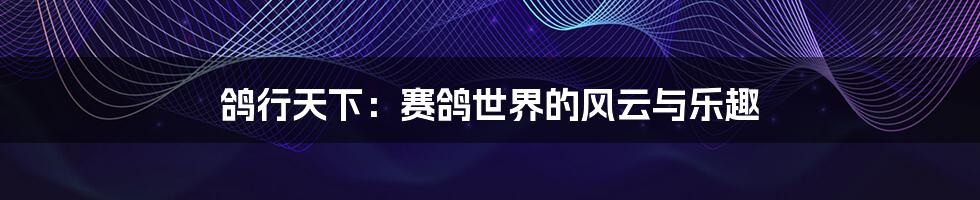 鸽行天下：赛鸽世界的风云与乐趣