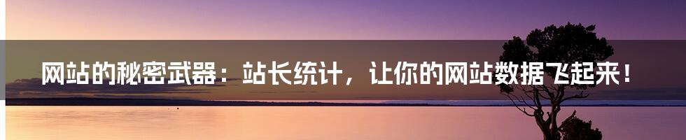 网站的秘密武器：站长统计，让你的网站数据飞起来！
