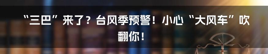 “三巴”来了？台风季预警！小心“大风车”吹翻你！