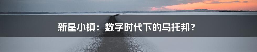 新星小镇:数字时代下的乌托邦?