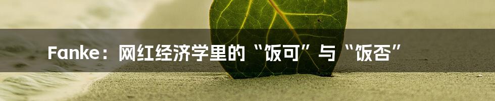 Fanke：网红经济学里的“饭可”与“饭否”