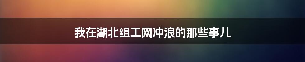 我在湖北组工网冲浪的那些事儿
