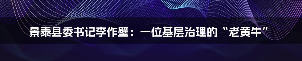 景泰县委书记李作壁:一位基层治理的“老黄牛”