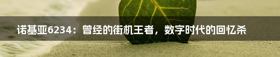 诺基亚6234：曾经的街机王者，数字时代的回忆杀