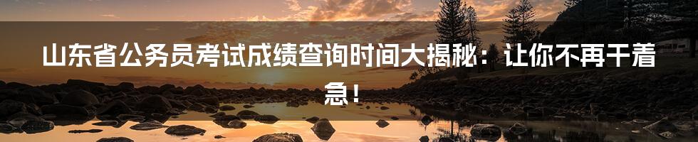 山东省公务员考试成绩查询时间大揭秘:让你不再干着急!