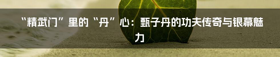 “精武门”里的“丹”心：甄子丹的功夫传奇与银幕魅力